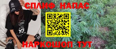 крисы Лесосибирск