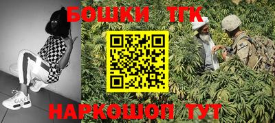 крисы Лесосибирск