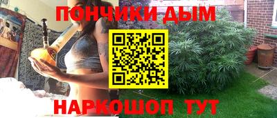 крисы Лесосибирск