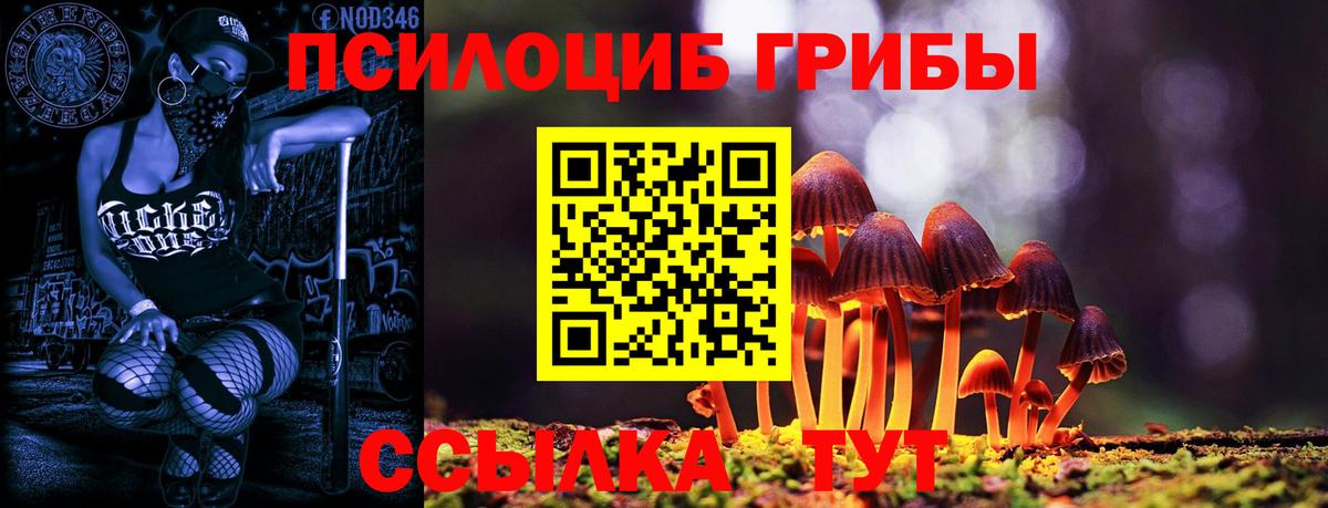 продажа наркотиков  Вход с VPN  Псилоцибиновые грибы Psilocybine cubensis  Южно-Сахалинск  Псилоцибиновые грибы Cubensis 